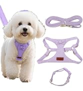 Dog Vest Harness Collar and Leash Set, No Pull Pet Vest Harnesses with 4.9ft Leash &amp; Safety Buckl...