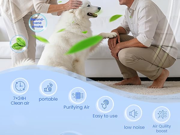 Air Ionizers for Home