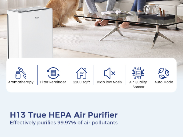 air purifier for home large room