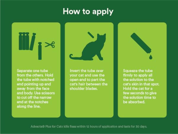 How to apply flea topical medicine for cats