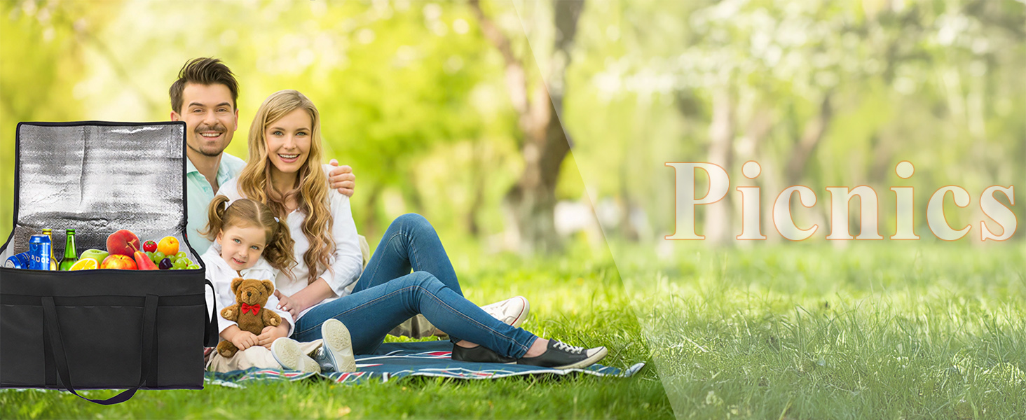 food delivery bag
