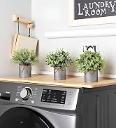 plants decor