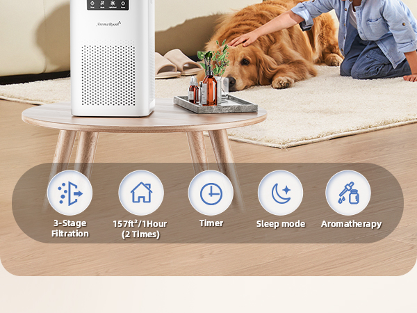 Pet Air Purifier