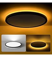 Matane 12 Inch LED Flush Mount Ceiling Light Fixture with Night Light, 24W 2400LM 3000K/4000K/500...