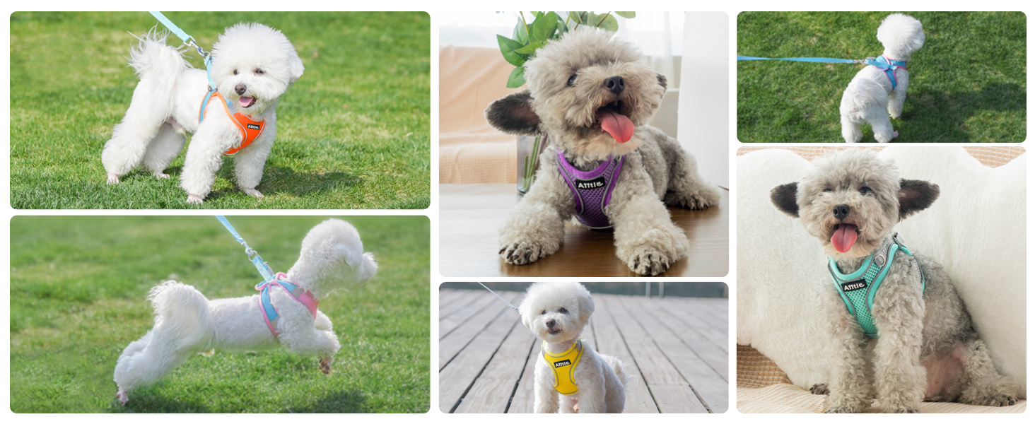 AIITLE Summer Soft Dog Harness and Leash Set