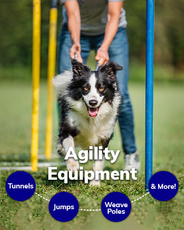 agility equipment