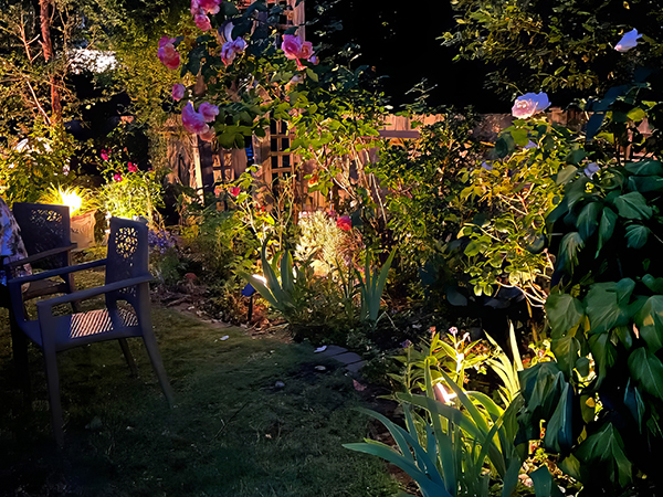 solar outdoor lights 3