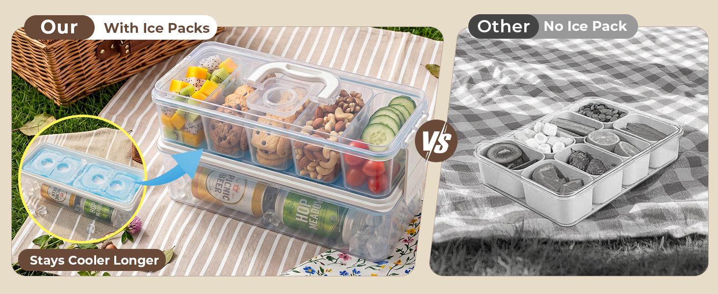 Snackle Box Container, Snack Organizer Divided Serving Tray with Ice-Pack