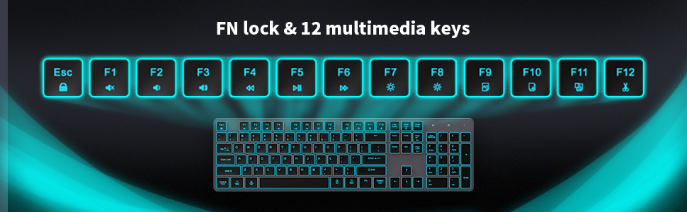 FN lock and 12 multimedia keys