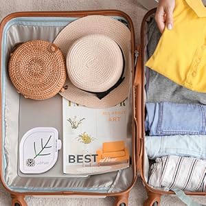 Compact travel friendly air purifier