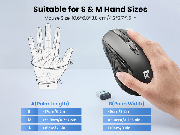 computer mouse