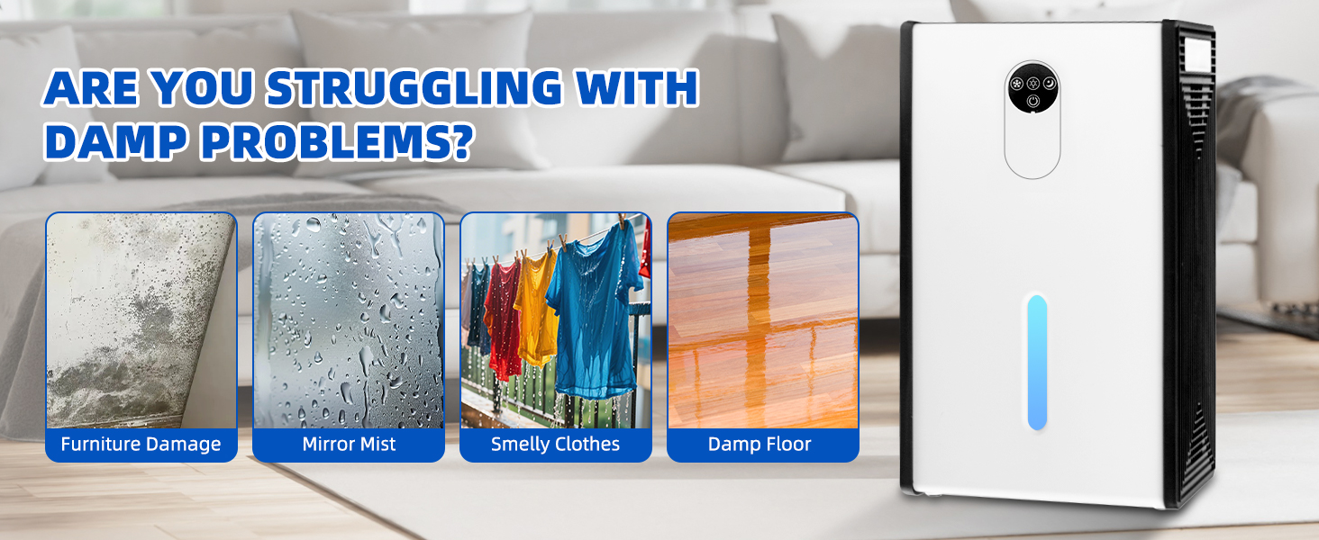 dehumidifiers for home