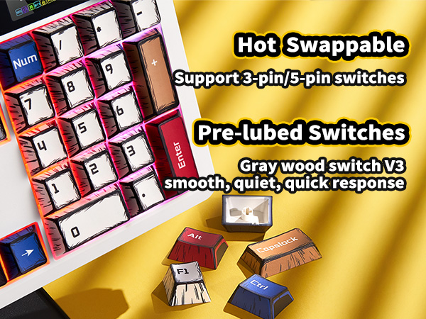Hot swappable Keyboard