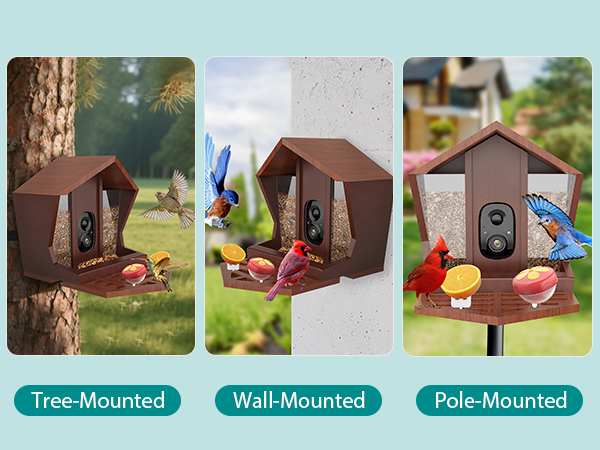 smart bird feeder with camera solar powered power wood wifi ai video live outdoor outside