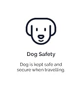 Dog Safety