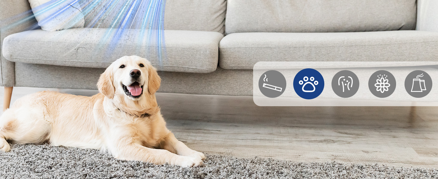 air purifiers for bedroom