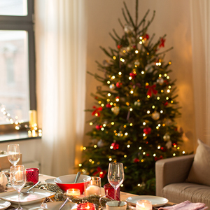 holiday decoration lighting