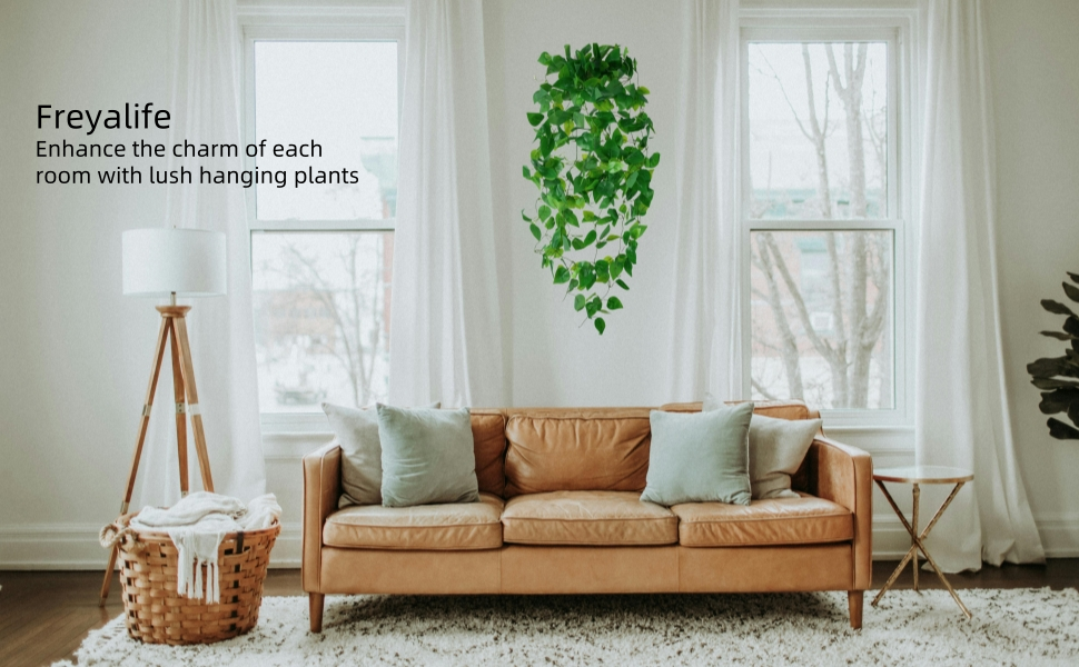 Decor for Live Room
