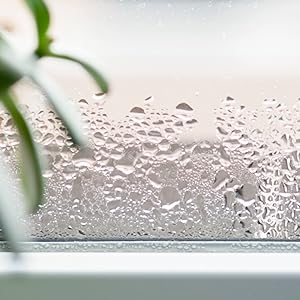window condensation