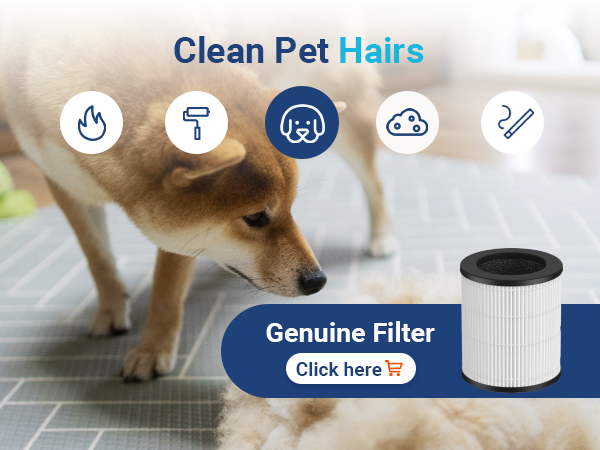 air purifiers for decoration harmful odors