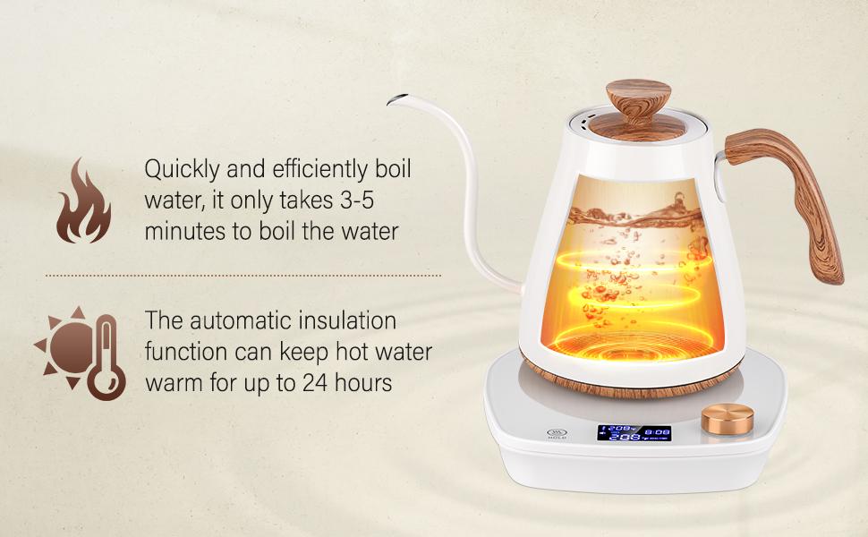 Gooseneck Electric Kettle