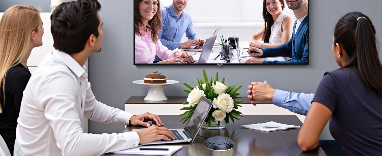 Conference microphone