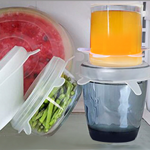 refrigerator safe