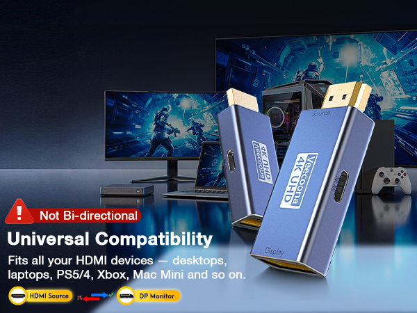 HDMI to DisplayPort Adapter