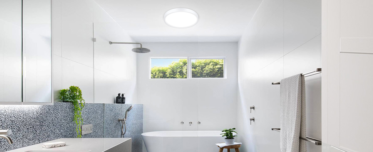 bathroom ceiling light