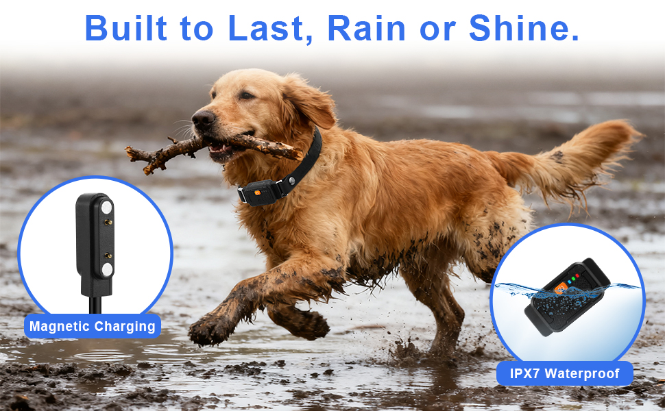 Built to Last, Rain or Shine