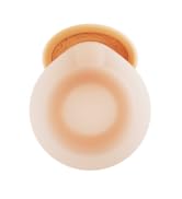 Loop earplugs