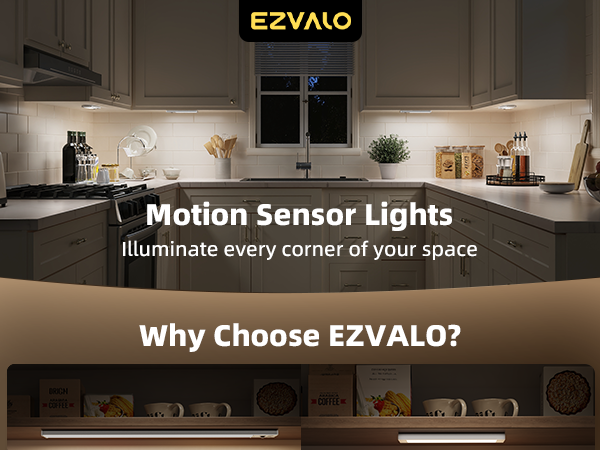 Motion Sensor Light Indoor