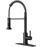 FORIOUS Black Kitchen Faucet with Pull Down Sprayer, Stainless Steel Commercial Single Handle Cla...