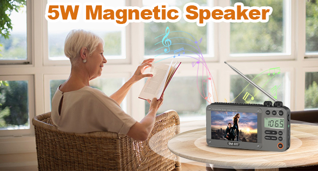 AM FM SW Video Radio