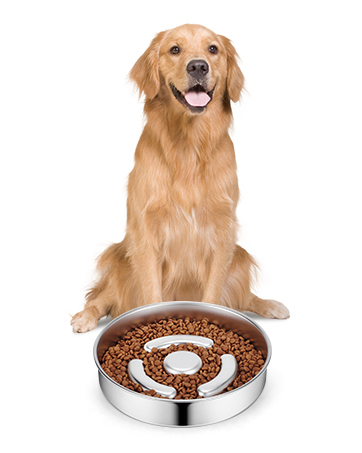 Slow Feeder Dog Bowls
