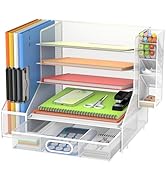 DALTACK Mesh Desk Organizer, 5-Tier Paper Letter Tray with File Holder &amp; Pen Holder &amp; Sliding Dra...