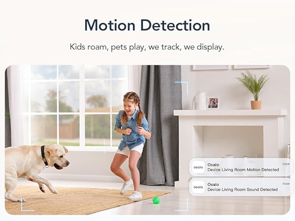 Security Camera