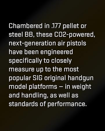 sig sauer air gun