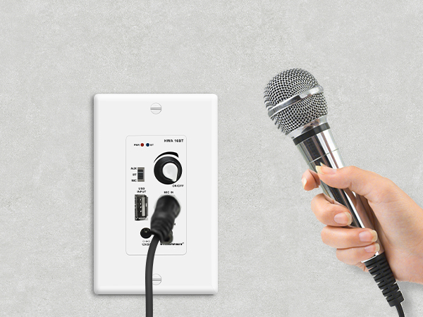 In-wall amplifier