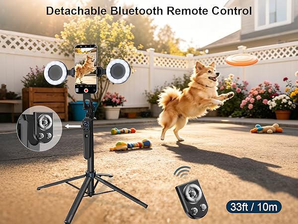 phone stand with remote