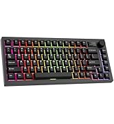 TECWARE Spectre 75% RGB Mechanical Gaming Keyboard with Customizable LCD Screen, Multi-Function K...