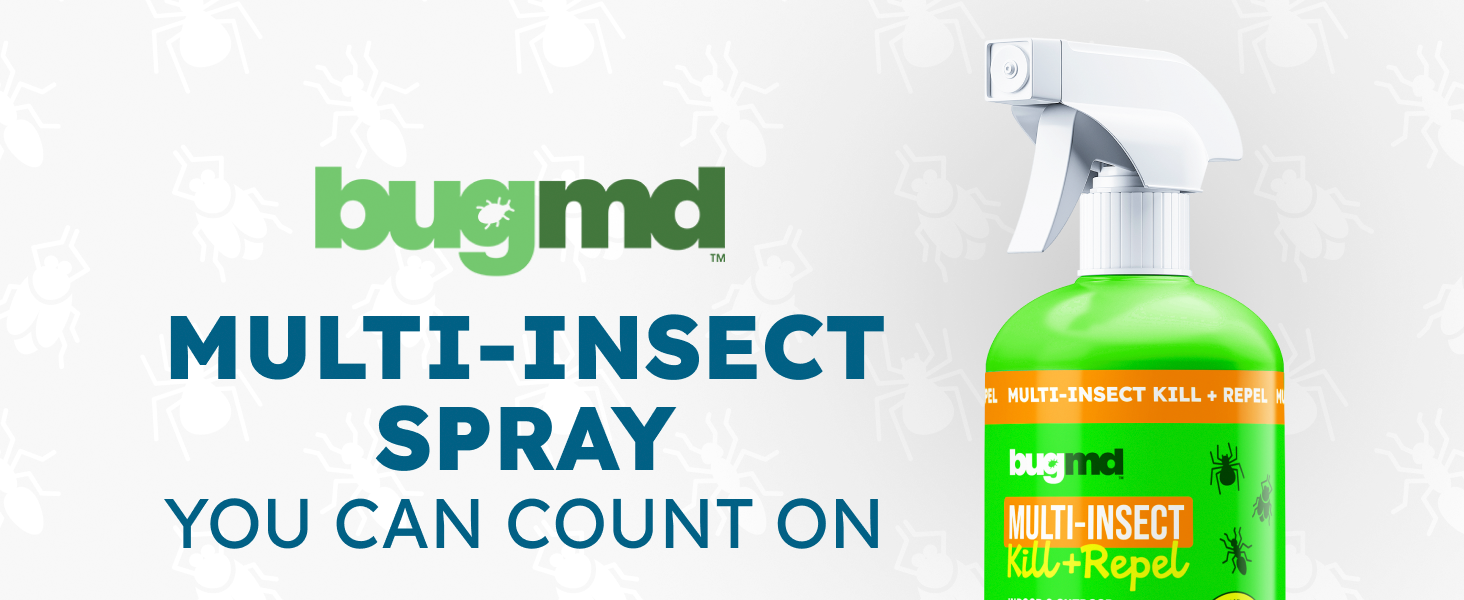 Peppermint oil spray for bugs and indoor pest control in home spaces