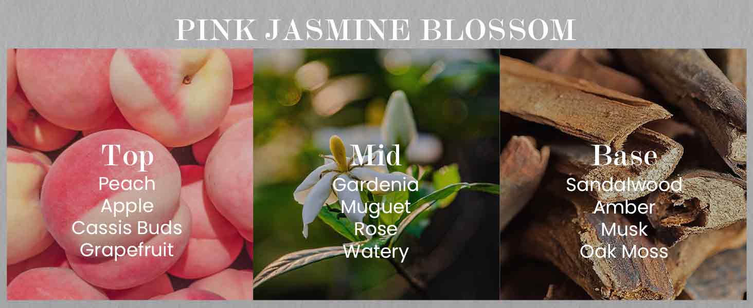 jasmine-pc