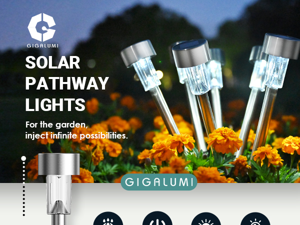 solar lights