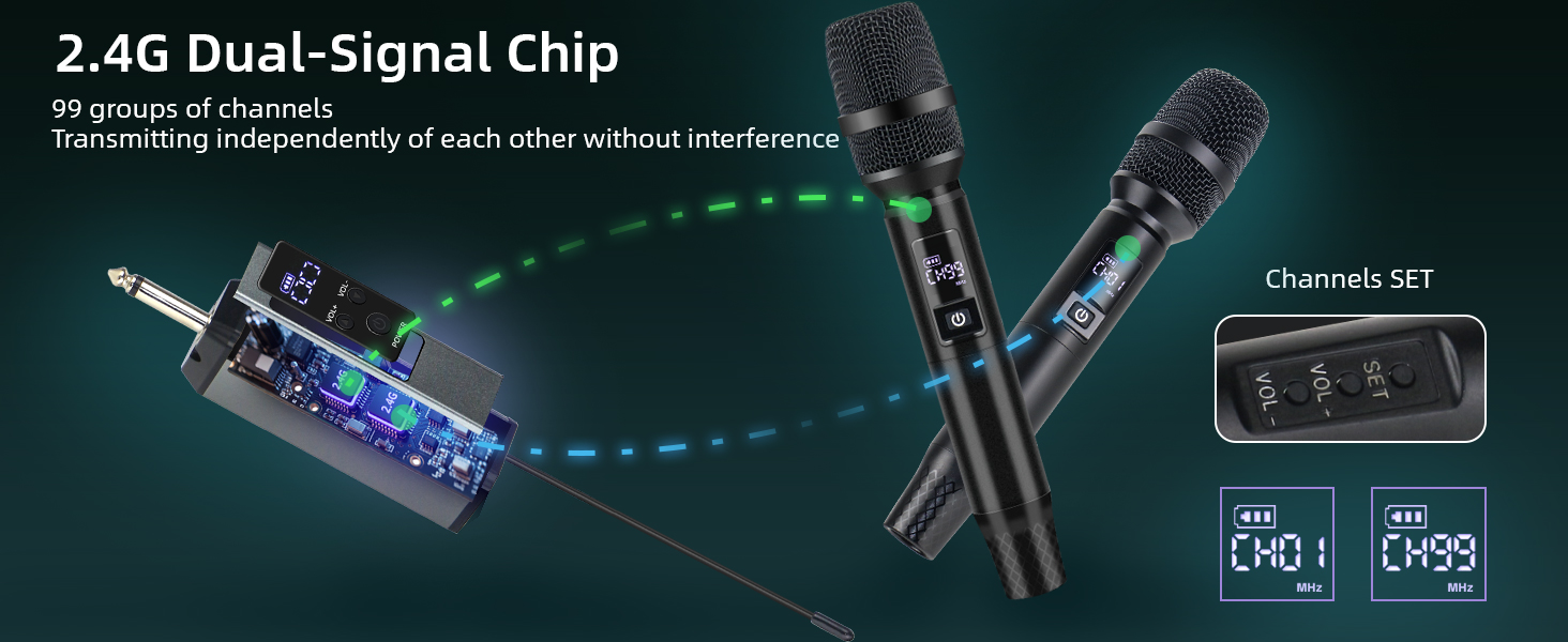 PROFESSIONAL WIRELESS MICROPHONE