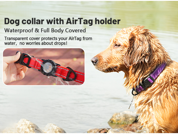 Dog Collar with AirTag Holder