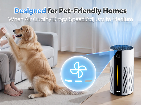 air purifiers