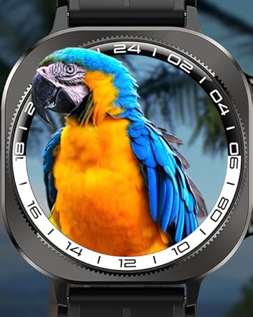 activity trackers and smartwatches