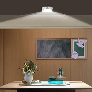 motion sensor battery operated light