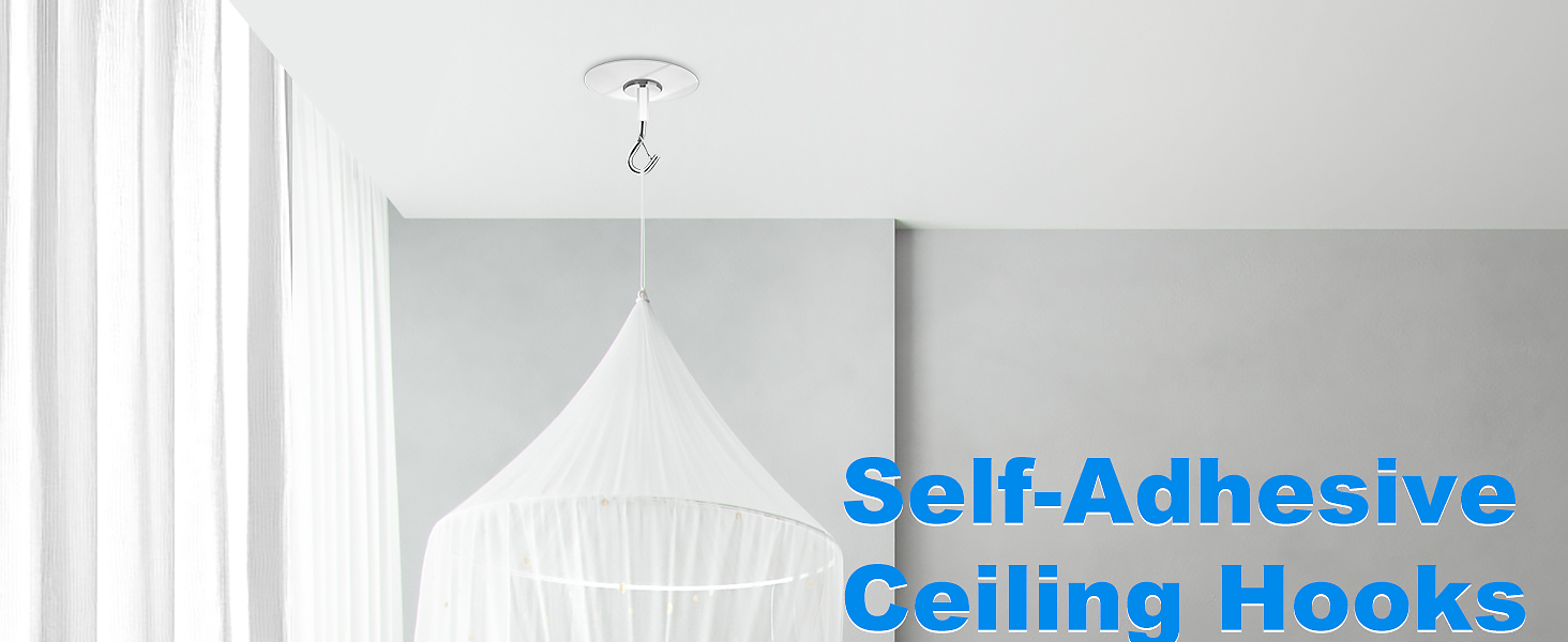 Ceiling hooks 